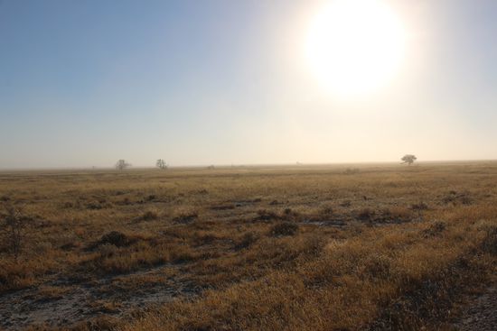 Man könnte meinen, hier landet gleich ein Ufo...nee, ist aber einer der vielen "Sandstürme", die sich hier bilden und durch die Ebene fegen.