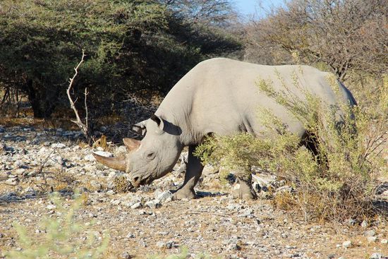 ...immernoch einmalig....