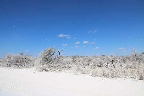 Hier ist ja gerade tiefster Winter und in Etosha hat's geschneit  !