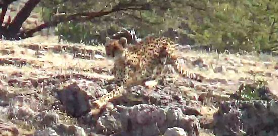 ...los geht's...für Hobbyfotografen ein unmögliches Unterfangen, hier bei fast 100 Km/h ein scharfes Bild zu schießen...