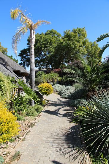 ...und in der Lodge viel Grün...