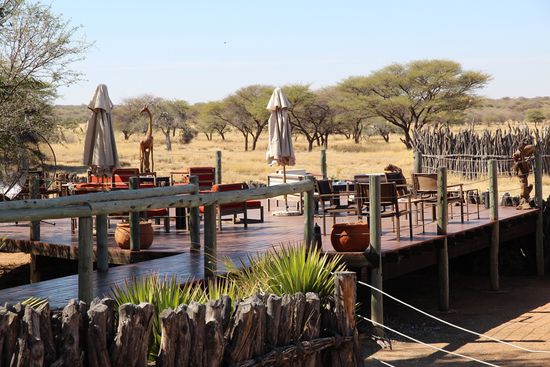 Von der Terrasse hat man einen tollen Blick auf afrikanisches Farmland mit Antilopen und vielen bunten Vögeln...