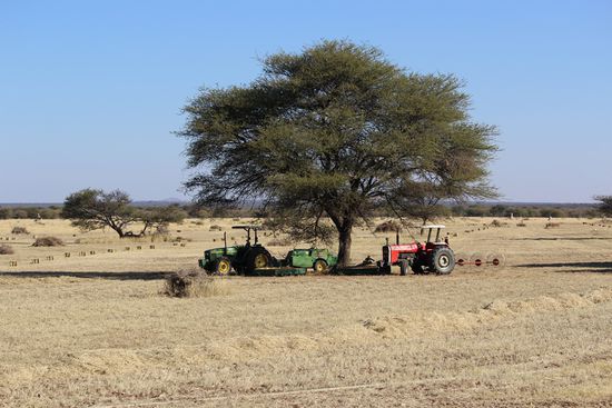 ...zugegeben: Das sieht ganz schön deutsch aus, oder?