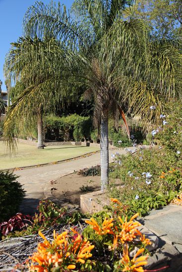 ...ein bisserl was Grünes...