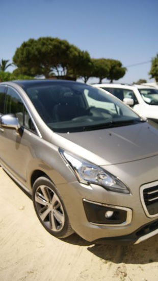 Unser treuer Begleiter !