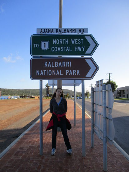 Ein Satz mit x das war wohl nix... 