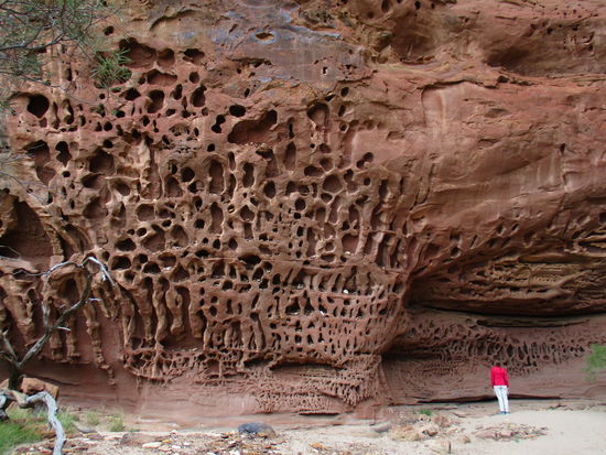 Honeycomb Gorge - wer findet die kleine Rotjacke im Bild? 