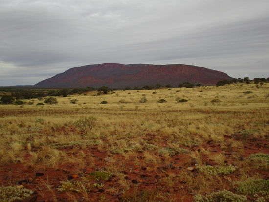 ...und schon ein wenig näher dran 