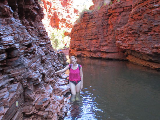 Im Lower Weano Gorge mussten wir durch knietiefes, eiskaltes Wasser waten...