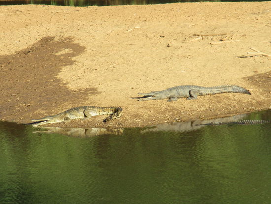 Einen schönen guten Morgen natürlich auch an die "Freshies" 