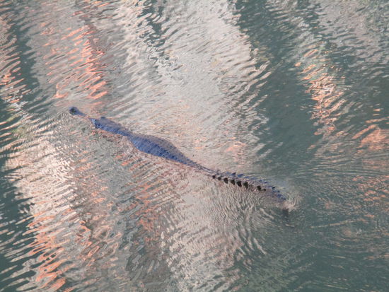 Huch - da ist schon einer wach 