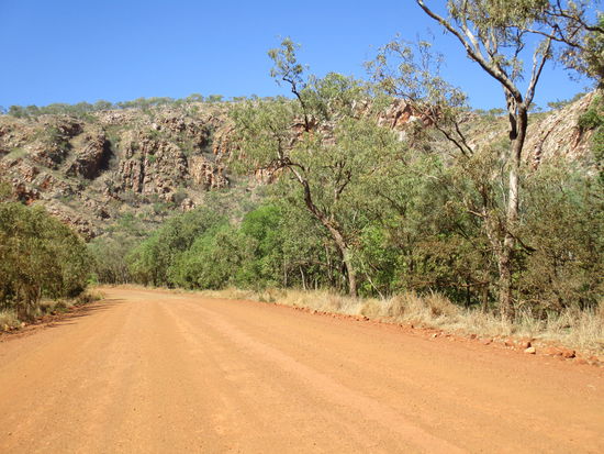 Die Gibb wechselt oft ihr Gesicht - hier ist sie gerade sehr sandig