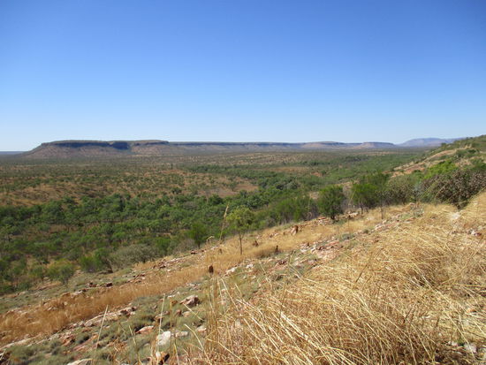 Die Weite der Kimberley