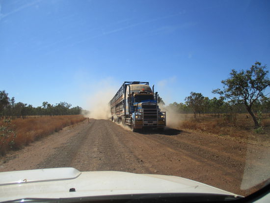Tja und dann kam ein Road Train...