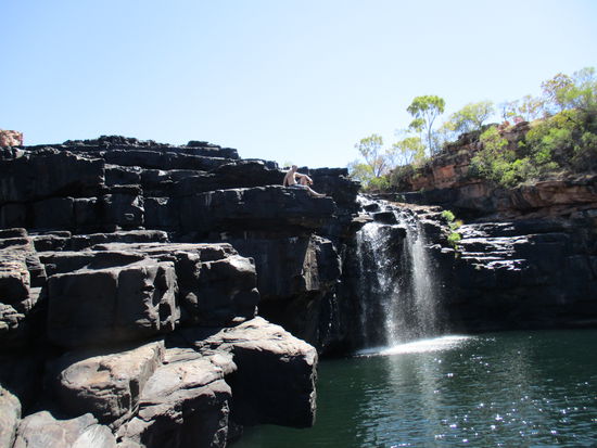 Wer sitzt denn da oben?