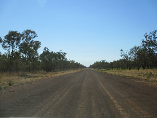 Driving the Gibb...just graded 