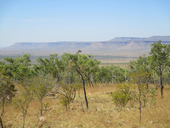 Blick auf die Cockburn Range