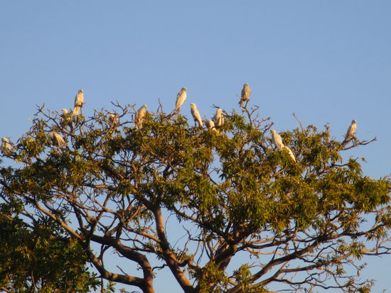 ... wo wir nicht alleine sind 