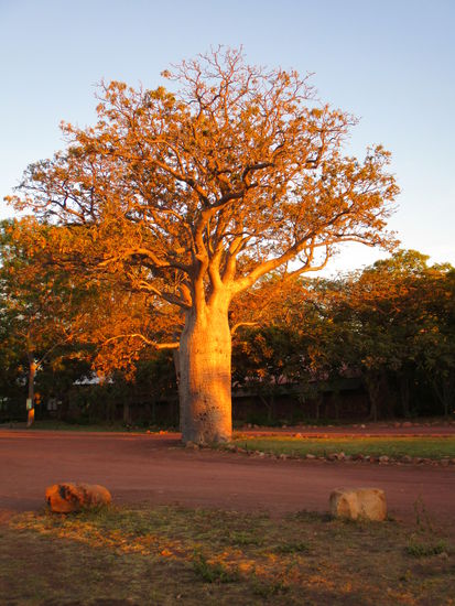 Sunrise @ Home Valley Station