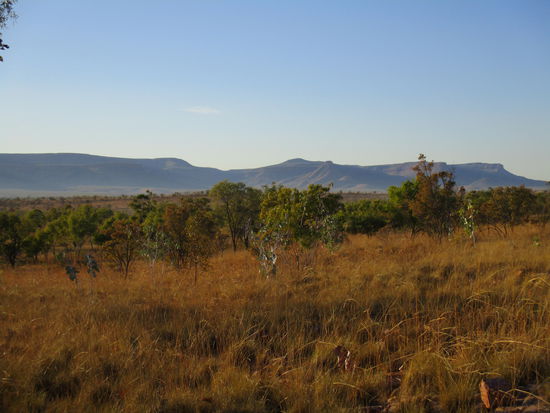 Morgenspaziergang bei Sonnenaufgang...