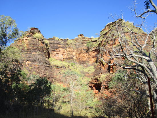 Little Bungle Bungles...