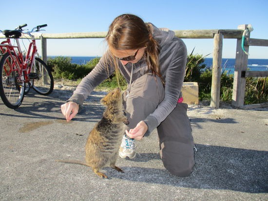 Tja darum kommen die Touris her...