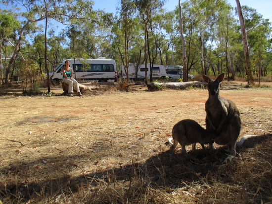 ... und wir genießen dieses Schauspiel wieder mal erste Reihe fußfrei 