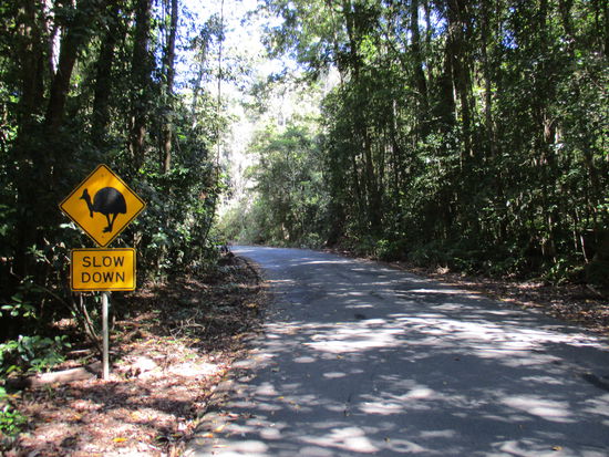 ... und witzige Straßenschilder, die vor dem Kasuar warnen!