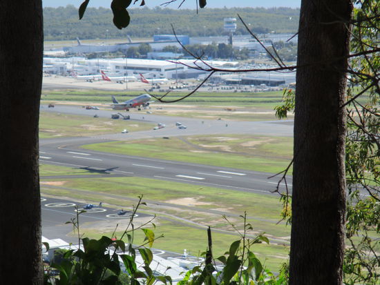 Aussicht vom Lookout auf den Flughafen Cairns...
