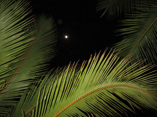 Nette Aussicht vor der Bettruhe 