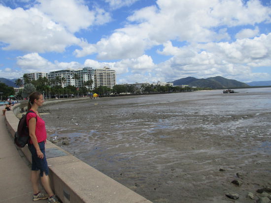 Ebbe in Cairns...