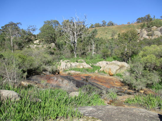 Im John Forrest NP...