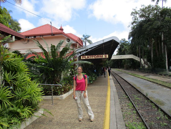 ... bis wir endlich in Kuranda sind...
