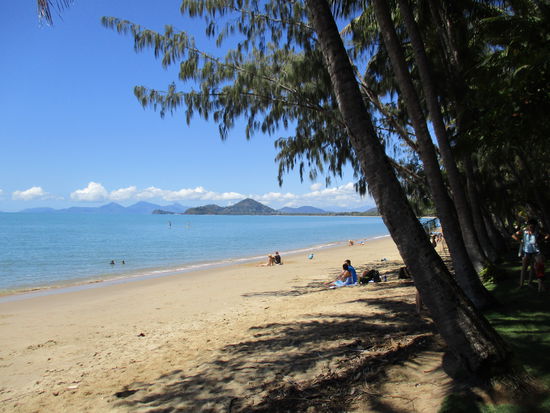 Palm Cove