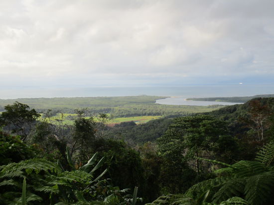 Blick auf die Mündung des Daintree Rivers