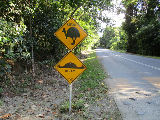 Immer für einen Spaß zu haben die Aussies... 