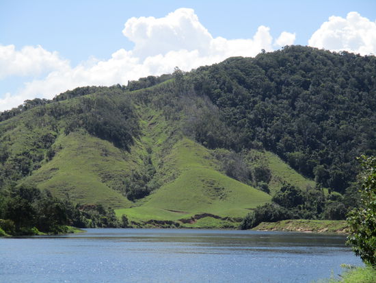 Neuseeland? Nein... Landschaft beim Daintree Village