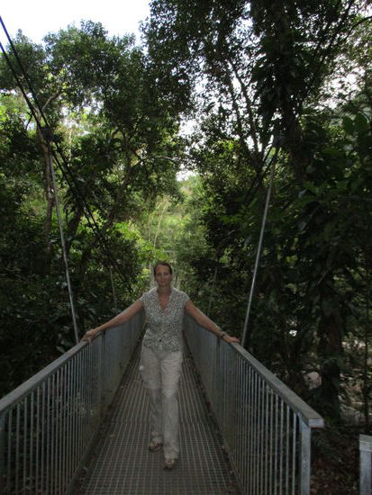 Hängebrücke @ Mossman Gorge