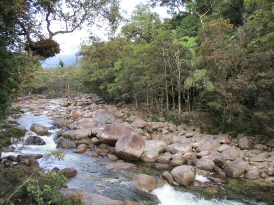 Mossman Gorge