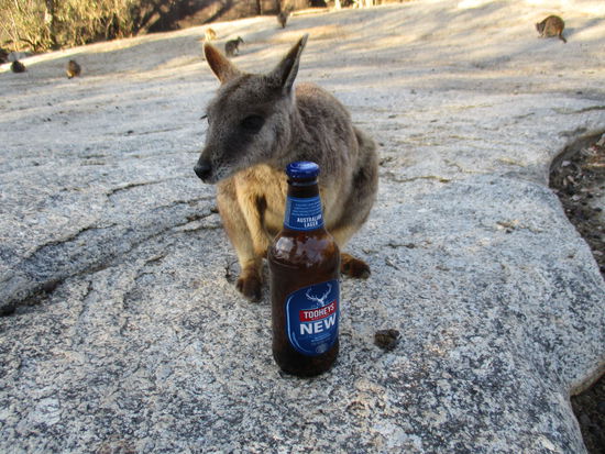 ... auch sehr für unser Bier interessiert 