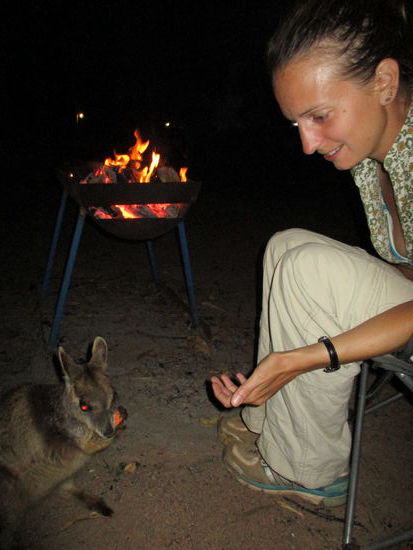 ... dann ein Pakt geschlossen...