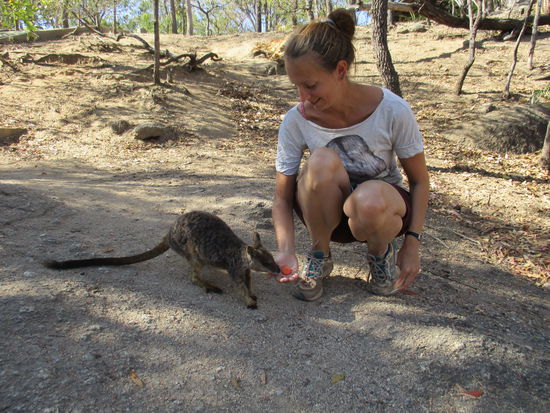 Wer ist da wohl glücklicher? 