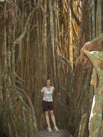 Wer steht denn da im Baum?