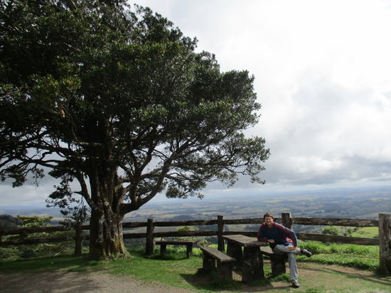 @ Millaa Millaa Lookout - das perfekte Plätzchen für ein gemütliches Frühstück!