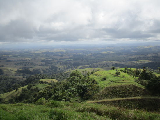 Ausblick auf die Tablelands @ Millaa Millaa Lookout
