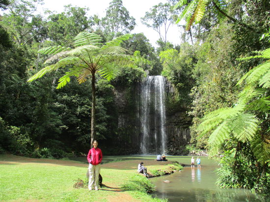 @ Waterfall Circuit (Millaa Millaa Falls)