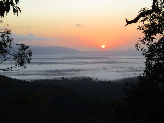 Sonnenaufgang bei der Zufahrt zu den Wallaman Falls - unten im Tal liegt der Bodennebel