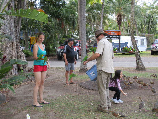Bird Feeding am Campground