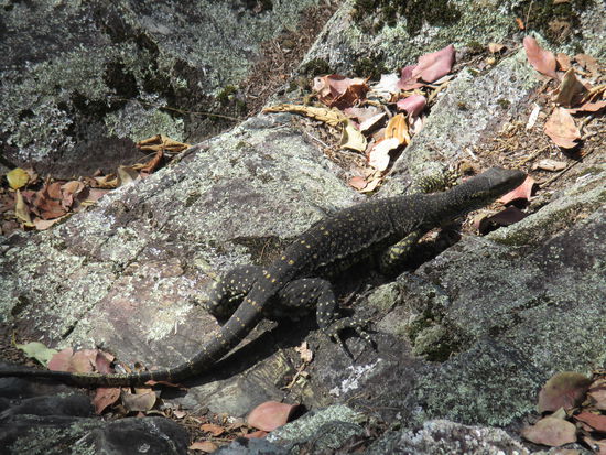 Ein bisschen schüchtern war er der süße Kerl