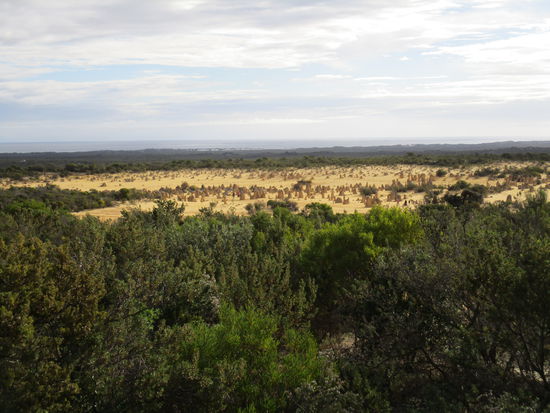 Blick auf die Pinnacleswüste
